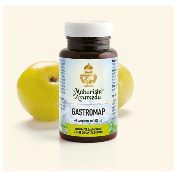 GASTROMAP 60CPR 60G