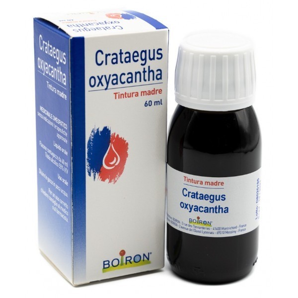CRATAEGUS OX. TM 60ML BOI