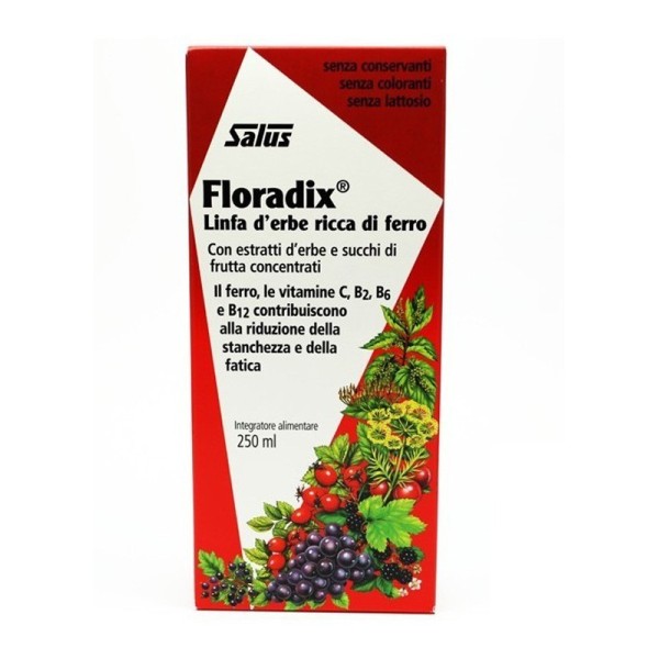 FLORADIX FERRO +5VIT 250ML