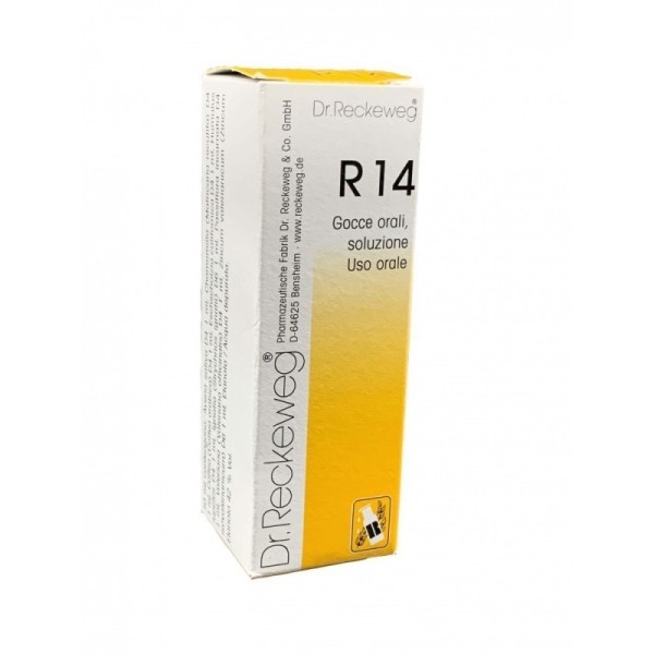 RECKEWEG R14 GTT 22ML