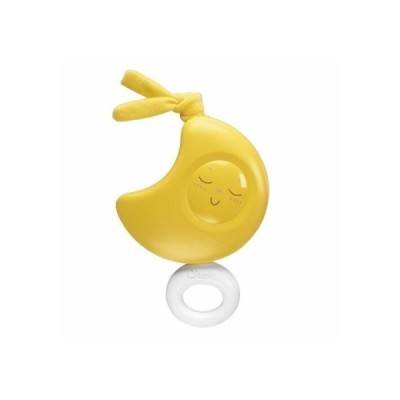 CARILLON CH 11920 NINNA LU