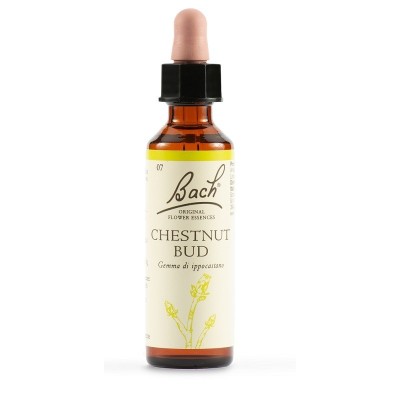 CHESTNUT BUD BACH ORIG20ML