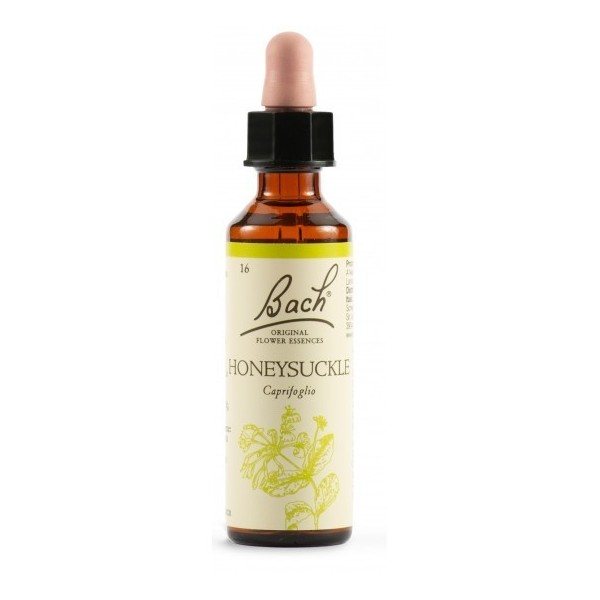 HONEYSUCKLE BACH ORIG 20ML