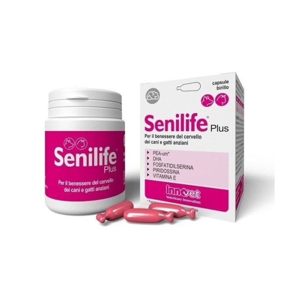 SENILIFE PLUS 30CPS