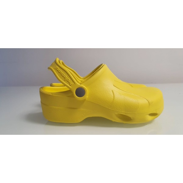 BIOMED ZOCCOLI PROF GIA 37