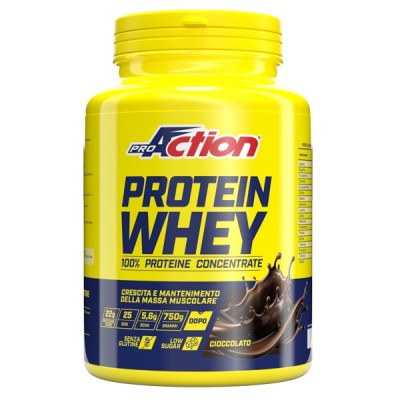 PROACTION WHEY CONCENTRATE...