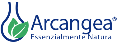 ARCANGEA SRL